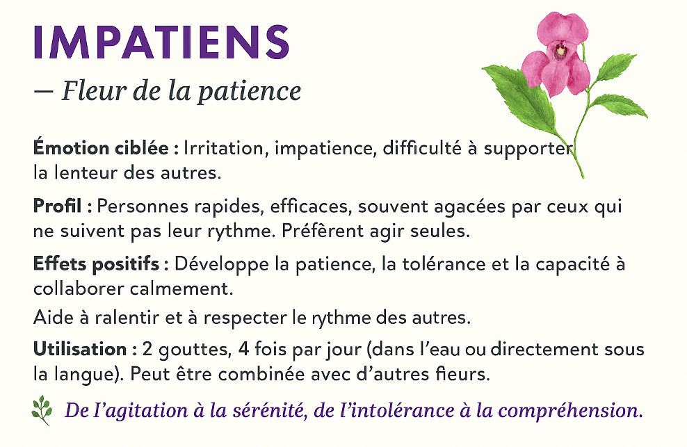 Retrouvez cet article sur Impatiens de Chantal Fiechter sur les Fleurs de Bach