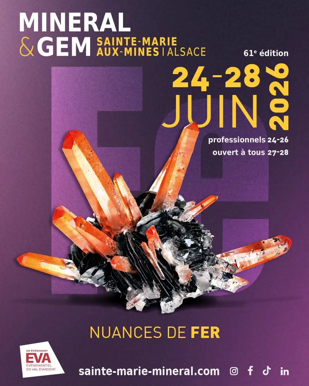 salon mineral gem sainte marie aux mines