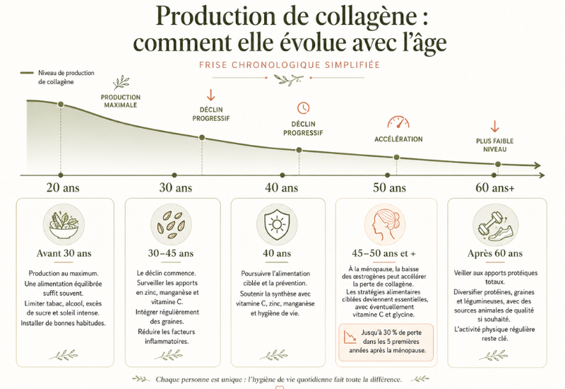 évolution de la production de collagène avec l'âge